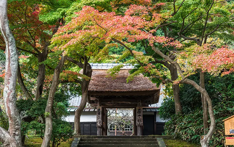 Autumn in Kamakura