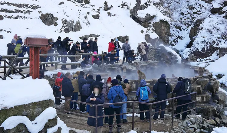Jigokudani Monley Park