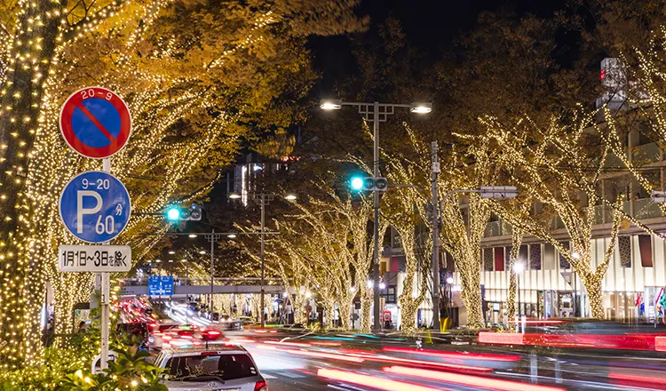 Omotesando Illumination