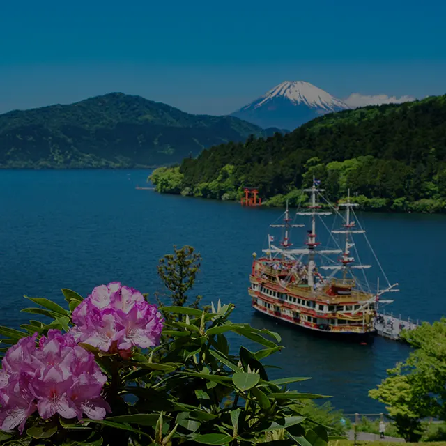 Tokyo & Hakone Private Transfer