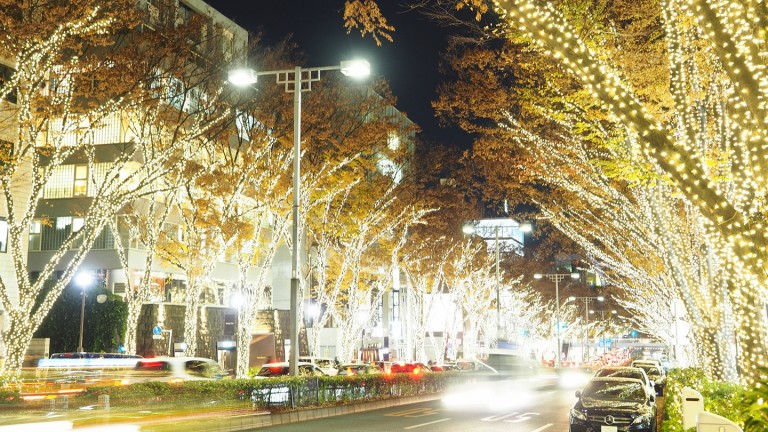 Omotesando Illumination
