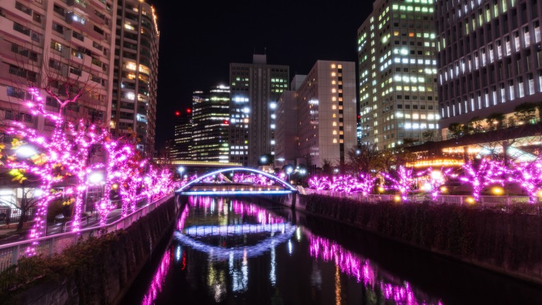 Megurogawa illumination