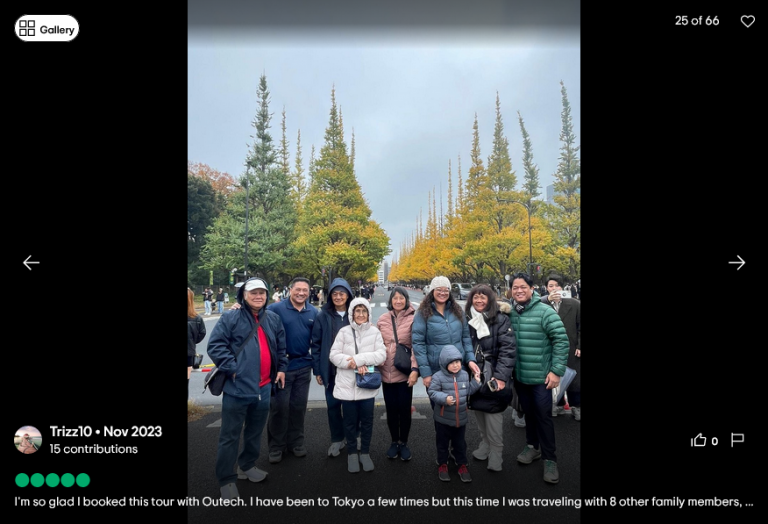 Tokyo Private tour Review from Tripadvisor