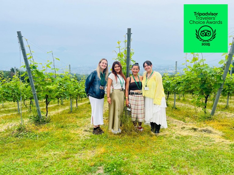 Yamanashi Winary Tour 